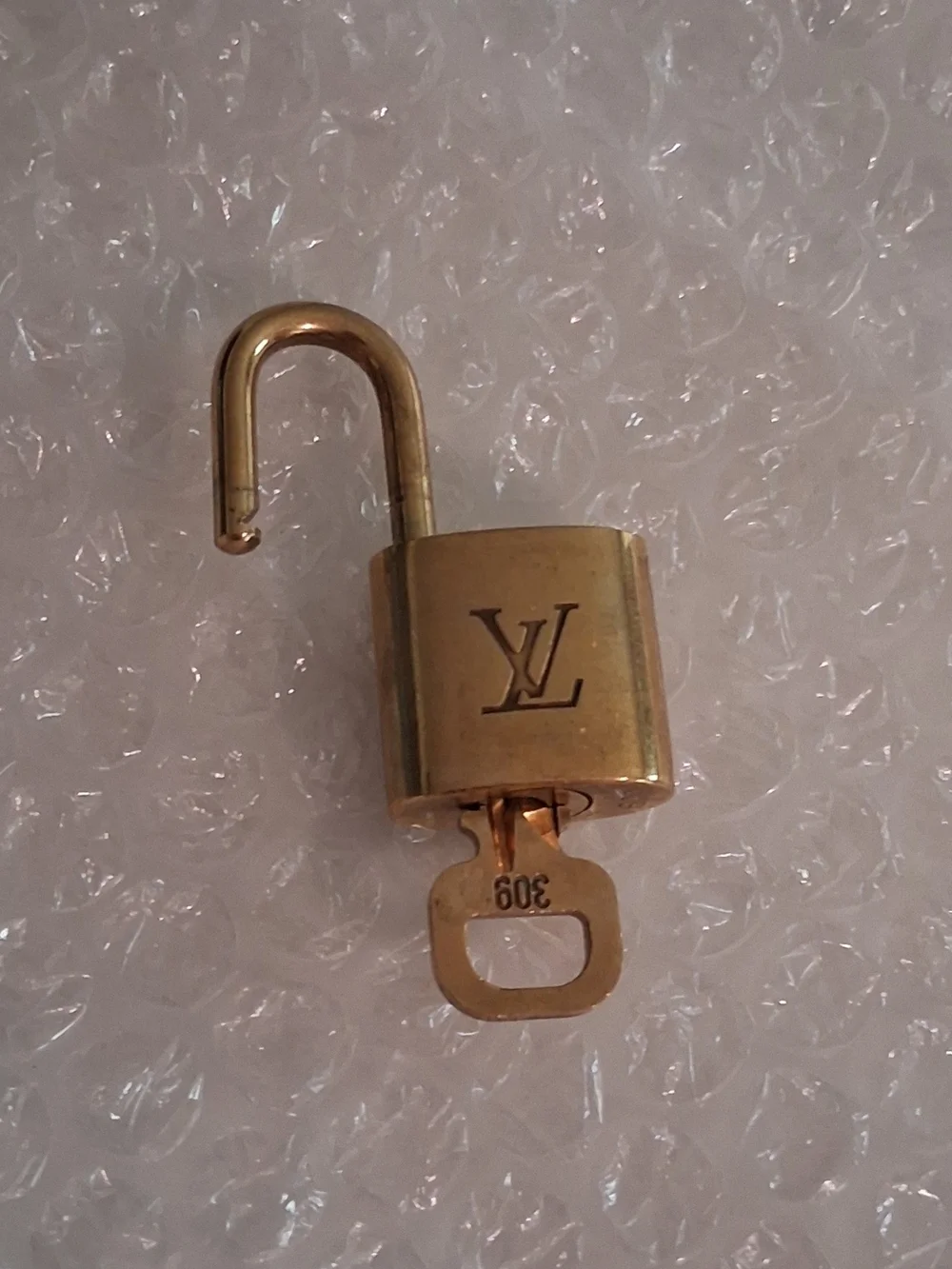 Louis Vuitton lv #309